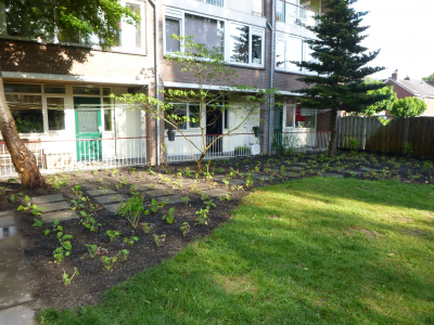 Appartementen Hollandseweg -   Gevarieerde beplanting bij appartementencomplex