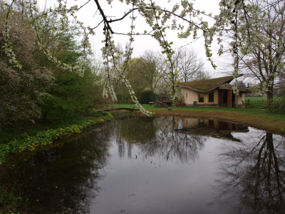 Oase heemtuin, Beuningen -   De vijver van de voormalige Oase heemtuin