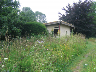 Oase heemtuin, Beuningen - Berm vlak voor de maaibeurt