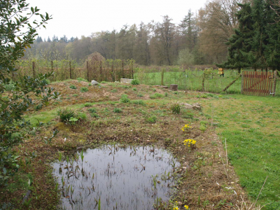 Berg en Dal -  Bloemenweide in het voorjaar